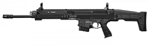 cz_bren_2_ms_16_left-10-mag.png