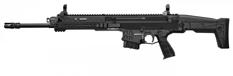 cz_bren_2_ms_16_left-10-mag.png