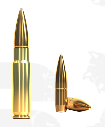 Screenshot 2024-12-31 at 14-42-48 300 AAC BLACKOUT – FMJ SUBSONIC (V341302) – 200 GRS – Sellier &amp; Bellot.png
