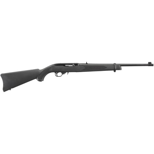 ruger-10-22-carbine-synthetic-gwint-11109.jpg