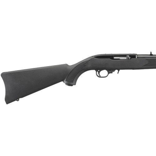 ruger-10-22-carbine-synthetic-gwint-111094.jpg