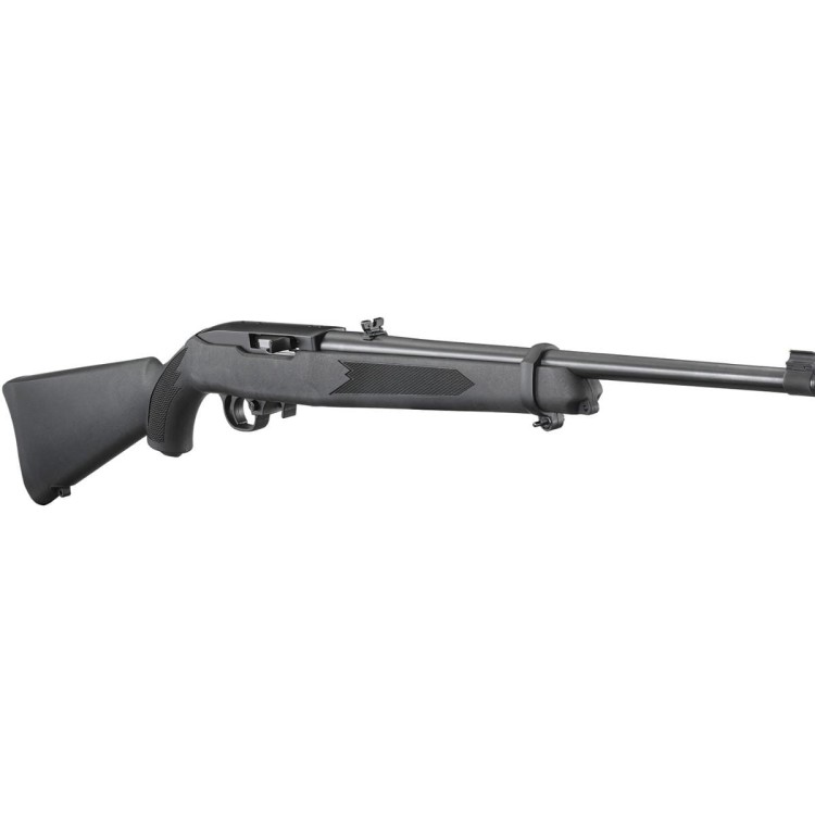 ruger-10-22-carbine-synthetic-gwint-111093.jpg