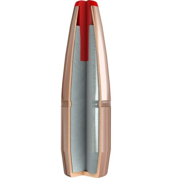 big_Critical-Defense-Rifle-FTX-bullet-cutaway.jpg
