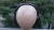 big_DSC_0189_1.JPG
