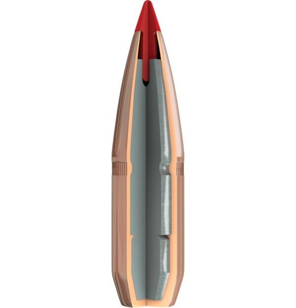 big_SST-bullet-cutaway-new.jpg