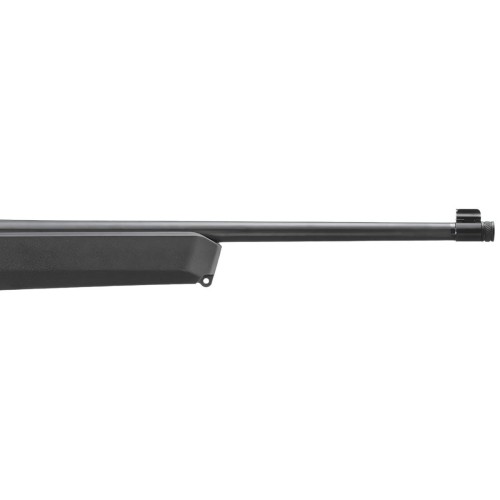 ruger-10-22-carbine-magpul-312169.jpg
