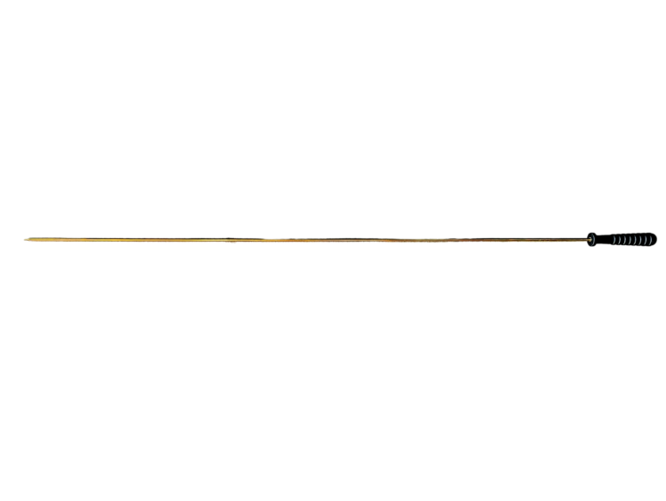 1000041919.png