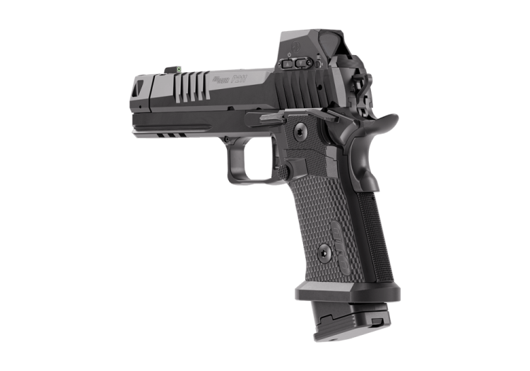 p211-gto-rxsl-rear-left.png