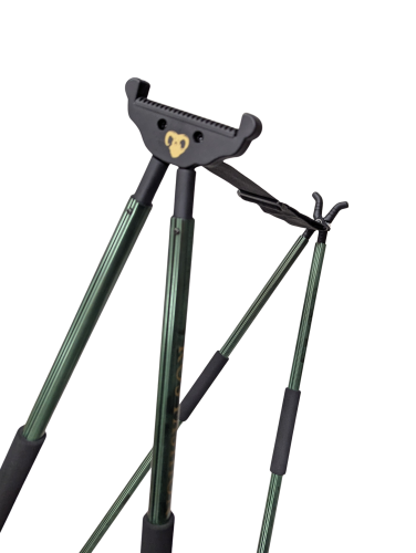 Pastorał Zielony 3.png