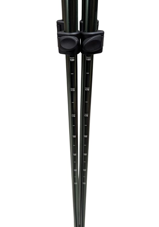 Pastorał Zielony 5.png