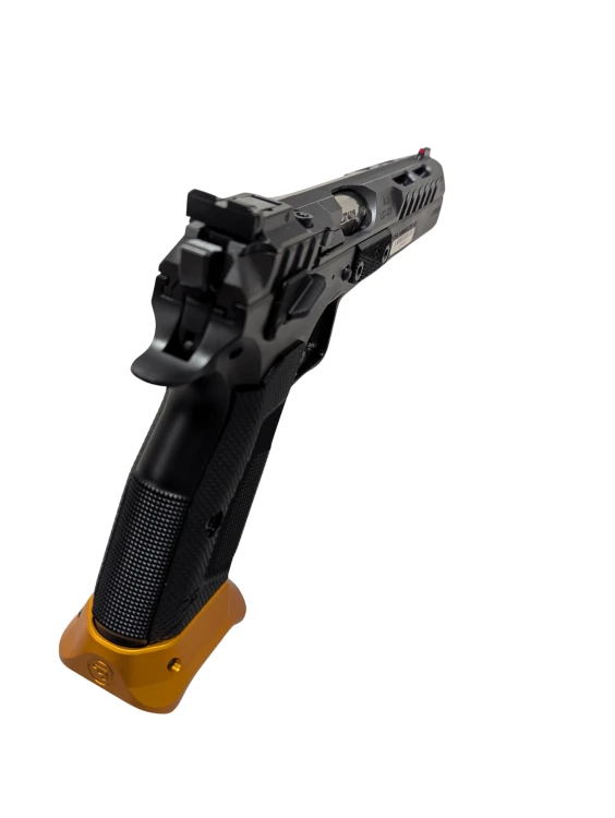 CZ TS3 2.png
