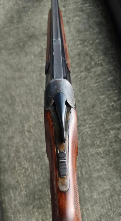 9079.jpg