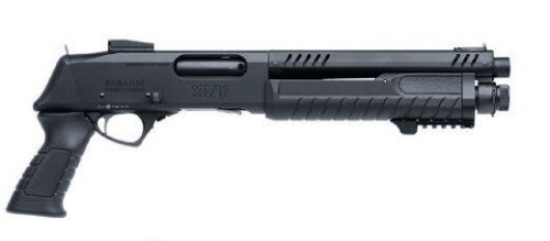 big_STF12short11initial.jpg