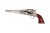 pol_pl_Rewolwer-Pietta-1858-Remington-Texas-Nickel-44-RBN44-109814_2