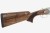 ata-arms-sp-elegant-gold.4.jpg