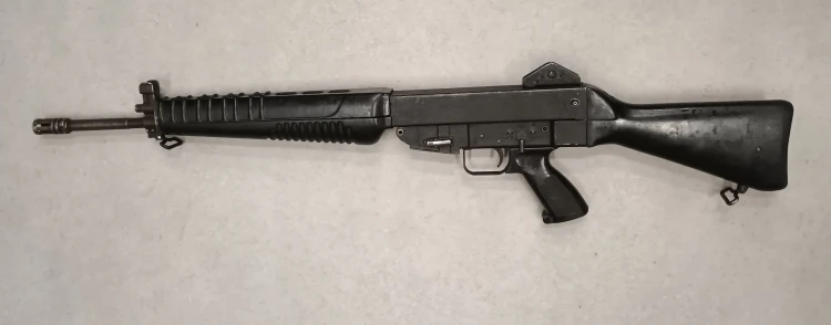 sar2.jpg