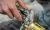 signal_20260402201807_gnmi.webp