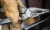 surge_20260402201846_qh00.webp