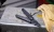 surge_20260402201846_1uen.webp