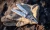 surge_20260402201846_49hr.webp