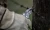 surge_20260402201846.webp