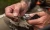 wave_20260402201903_e0e3.webp