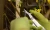 wave_20260402201904.webp