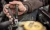 wingman_20260402201906_q97m.webp