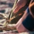 carousel_wave_alpha_obsidian_07_20260402201602.webp