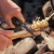 carousel_wave_alpha_obsidian_05_20260402201602.webp