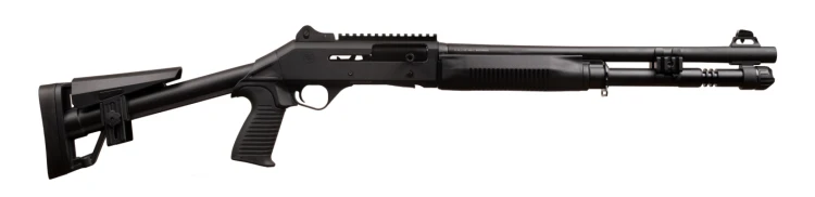 m4stanardskeleton.png