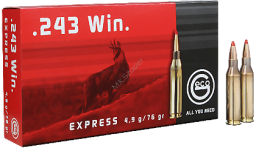 large_geco-243-express