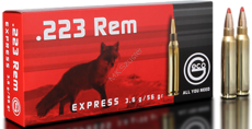 large_223express